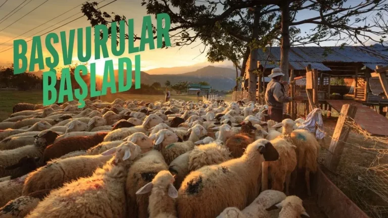 Hayvancılıkta Yeni Fırsat Kapısı